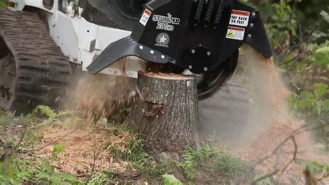 skid steer rentals winnipeg|stump grinder rental winnipeg.